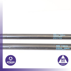 BMW E93 328i Convertible Trunk Left &amp; Right Gas Lift Cylinder Strut Set OEM