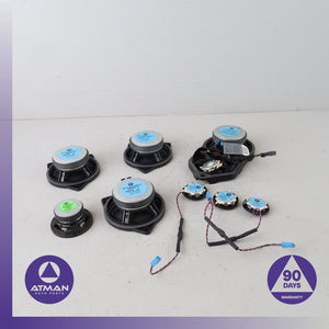 BMW E70 X5 X5M Hi-Fi Interior Speaker Tweeter Set 65139151864 OEM