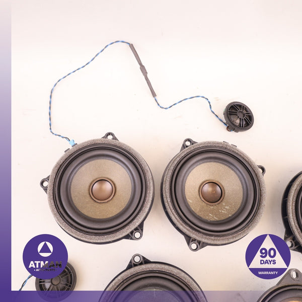 BMW F30 320i Hi-Fi Interior Speaker Tweeter Loudspeaker Set OEM