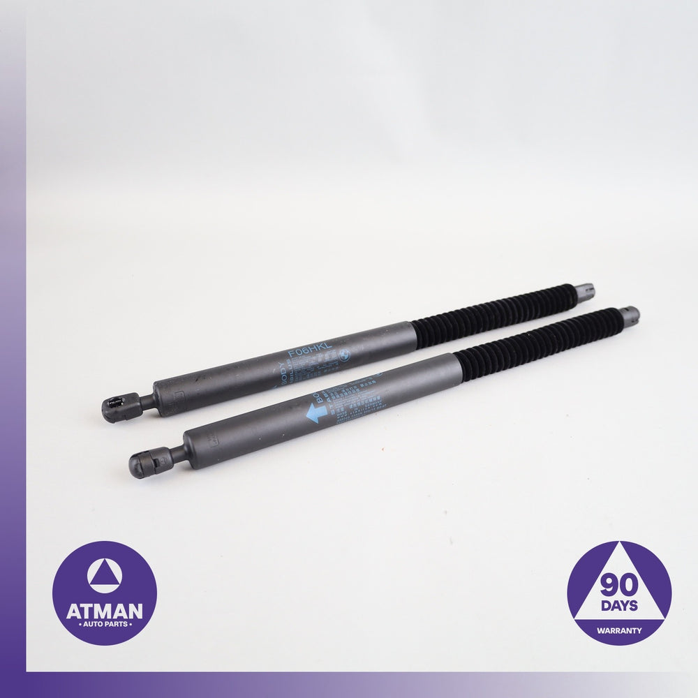 13-19 BMW F06 650i 640i Trunk Boot Lid Door Gas Cylinder Strut Set 7360583 OEM