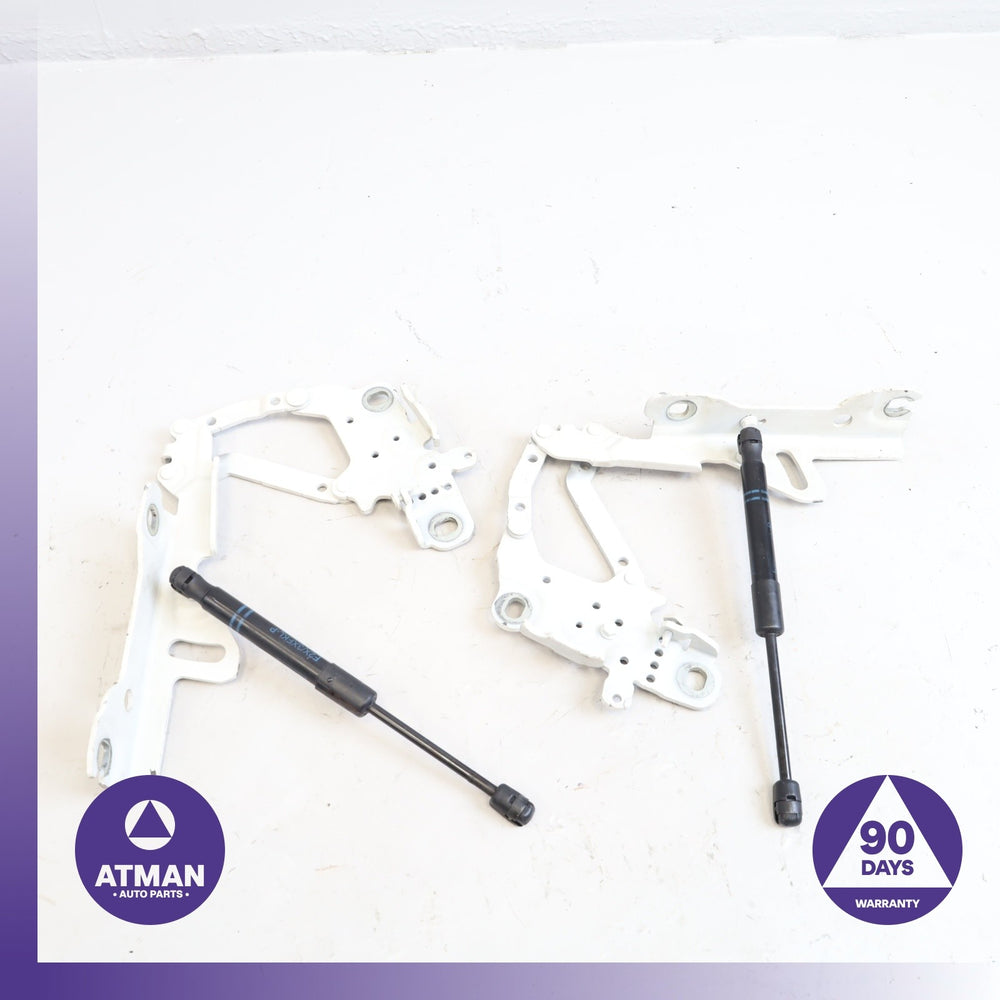 BMW F30 320i Hood Bonnet Hinge Set w/ Cylinder Strut OEM