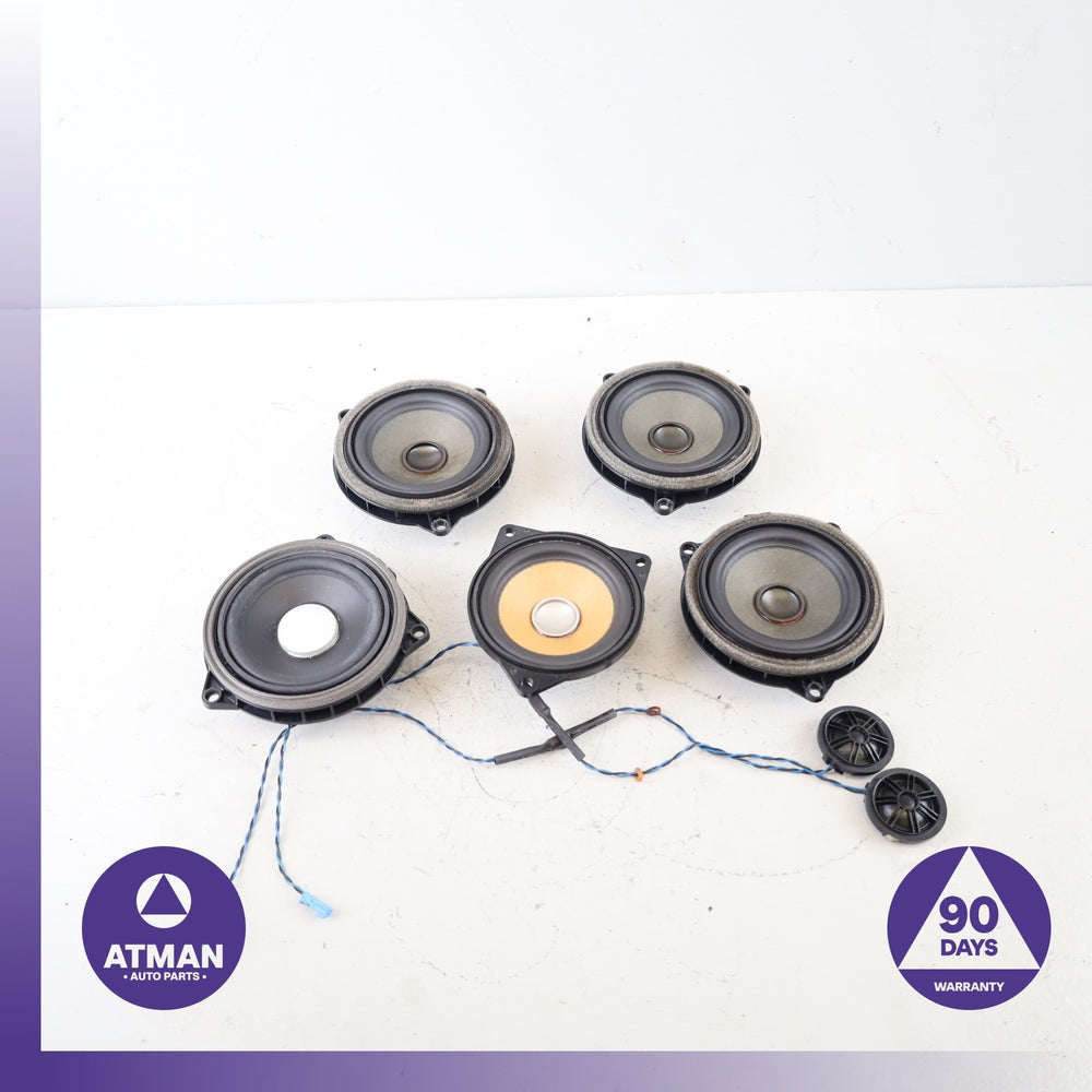 BMW F30 320i Hi-Fi Interior Speaker Tweeter Loudspeaker Set OEM